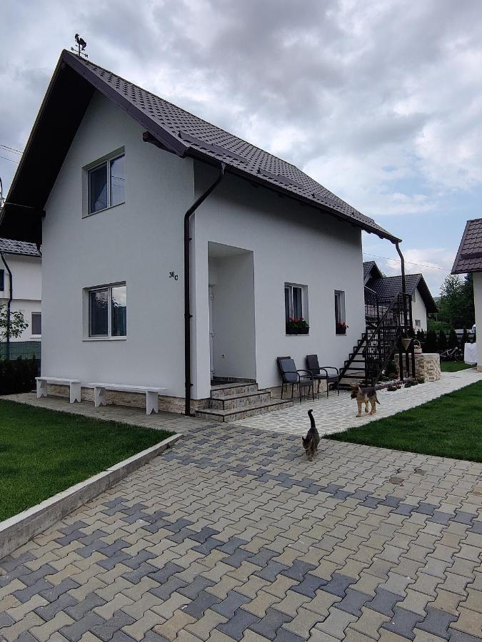 Vizuina Lupului Gura Humorului Exterior photo
